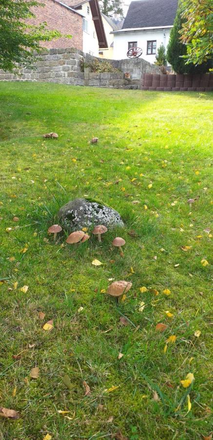 rekreační dům Pohoda Jiřetín pod Jedlovou Exteriér fotografie